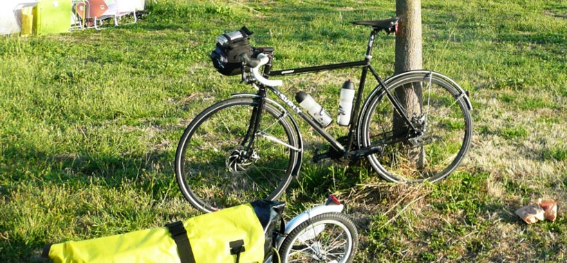 sport 7