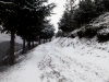 02-Fine_pellicule_de_neige